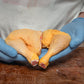 cosce di pollo, pollo, pollame